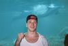 Dan&dolphins